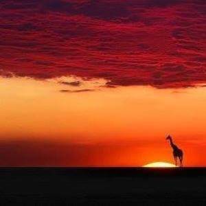 Meet your Posher, Jeannette